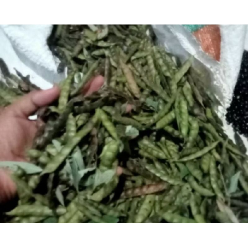 

kacang hitam/ kacang udis/kacang gude kulitan 500gram