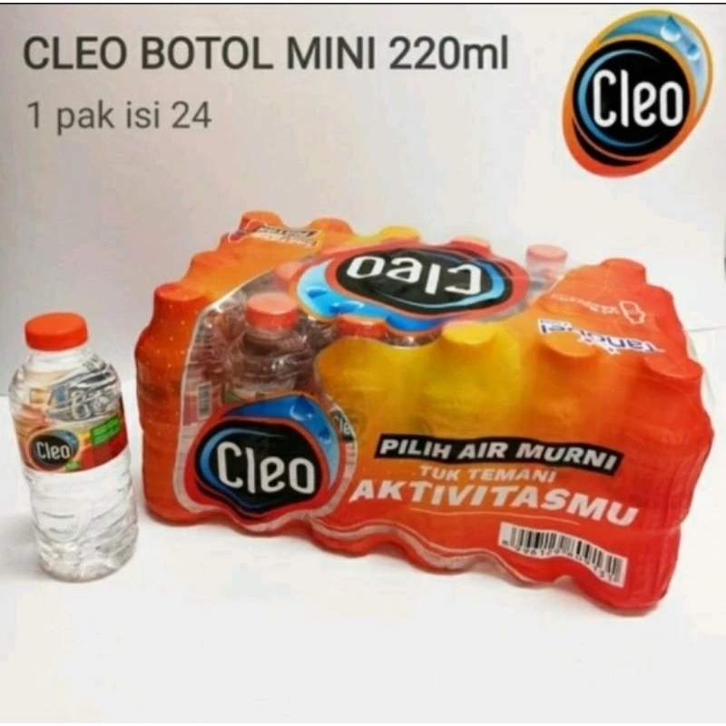 

Air Minum Mineral Cleo 220ml Kartonan/Dus