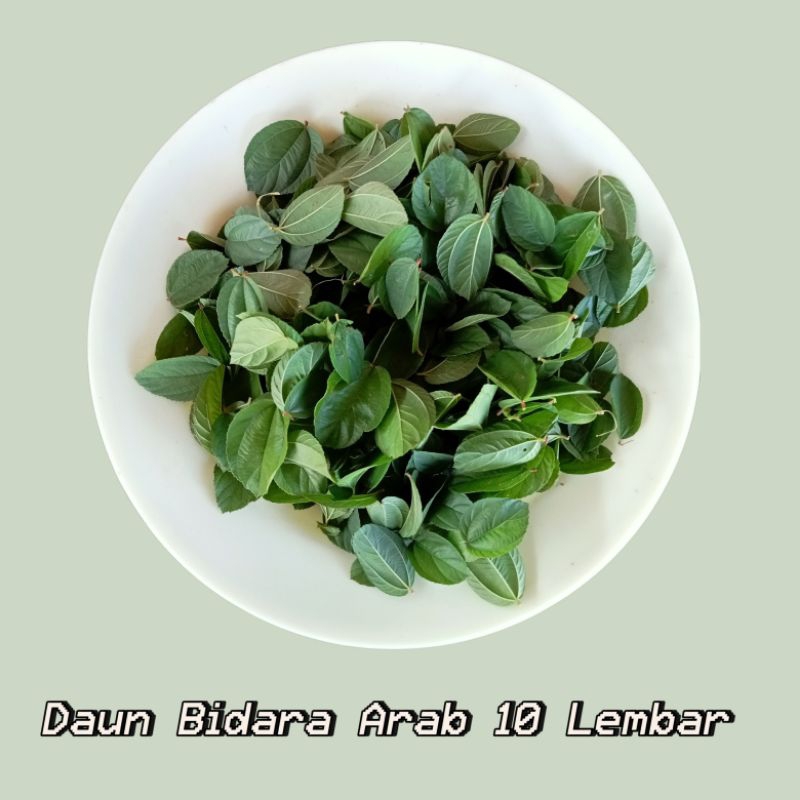 

Daun Bidara 20 Helai daun Bidara Arab Segar Fresh Petik