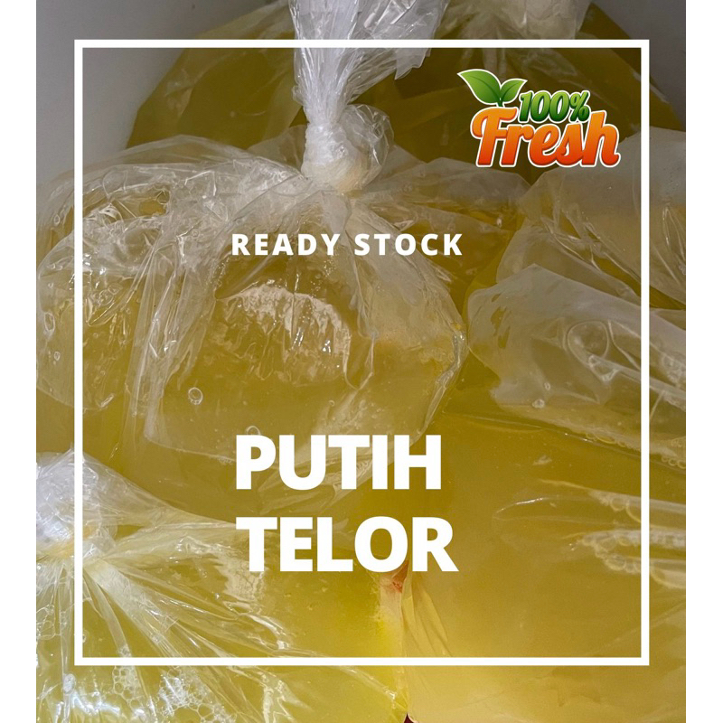 

Putih Telor FRESH READY STOCK