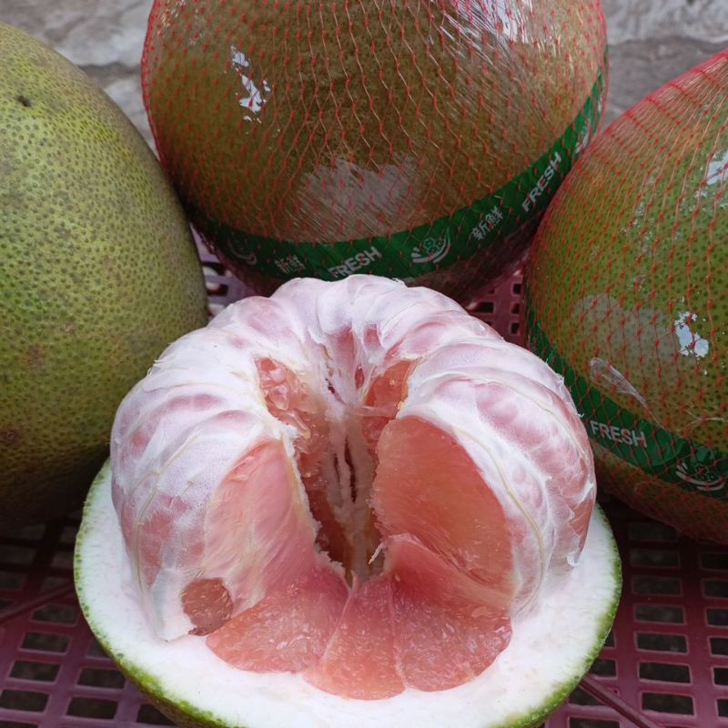 

Grosir Buah Segar Jeruk Pamelo Madu Asli Pati isi 4 buah berat 800 - 900 gr