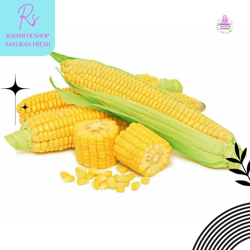 

Big Sale Jagung Remping - KIRIM INSTANT