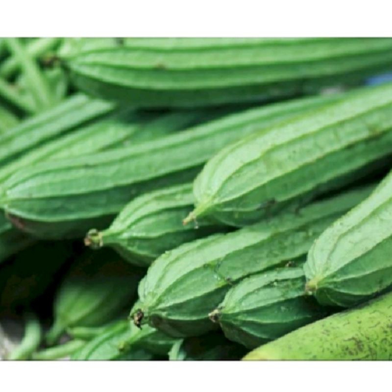 

Oyong kacang panjang Labu