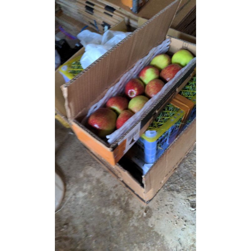 

Apel ANA, Apel Manalagi, Apel Rome beauty Grade A isi 8-10 buah