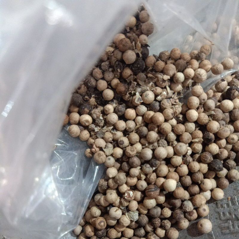 

Lada Bulat Asli Ukuran 50g/100g/150g