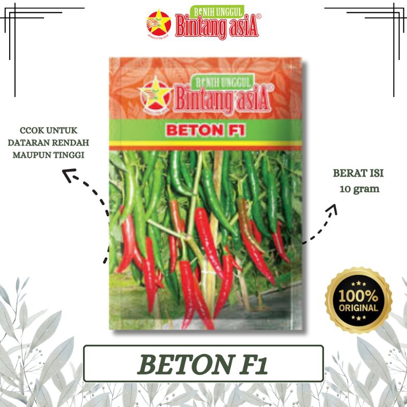 BENIH CABAI CABE BESAR BETON F1 10 GRAM BINTANG ASIA PT. BENIH CITRA ASIA