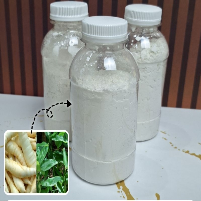 

Sagu Rakrut Bangka 100g - Pagi Garut - Tepung Garut - Mengatasi Asam Lambung & Maag