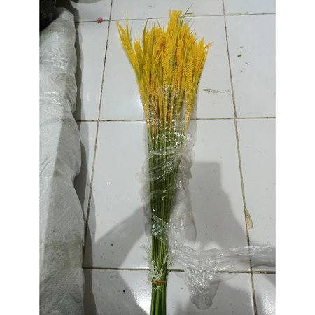 padi padian plastik - Padi Artificial