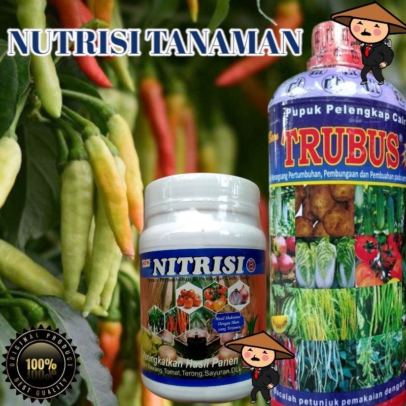 NITRISI B ( NUTRISI B ) + TRUBUS Pupuk pelengkap cair
