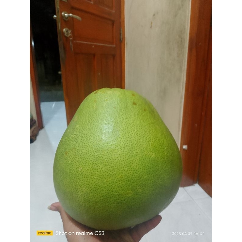 

JERUK PAMELO MADU,manisnyasangatmanis