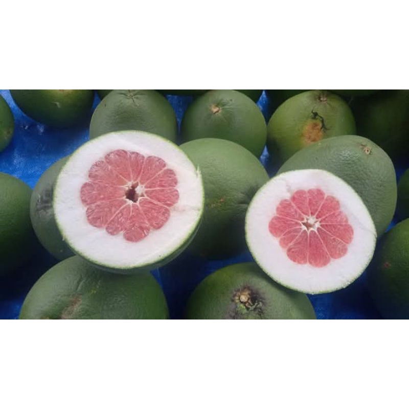 

jeruk pamelo madu tanpa biji 600 gram -850 gram manis bergaransi