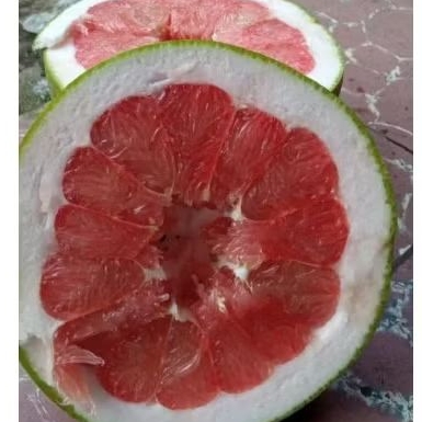 

Promo Beli 1 Gratis 1 Buah Segar Jeruk pamelo madu berat 700 gr - 900 gr