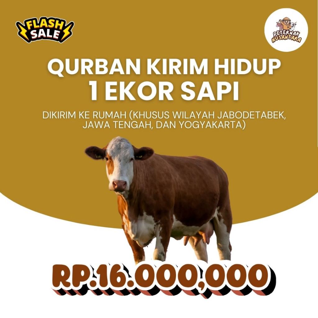 

QURBAN 1 EKOR SAPI KIRIM HIDUP FREE ONGKIR