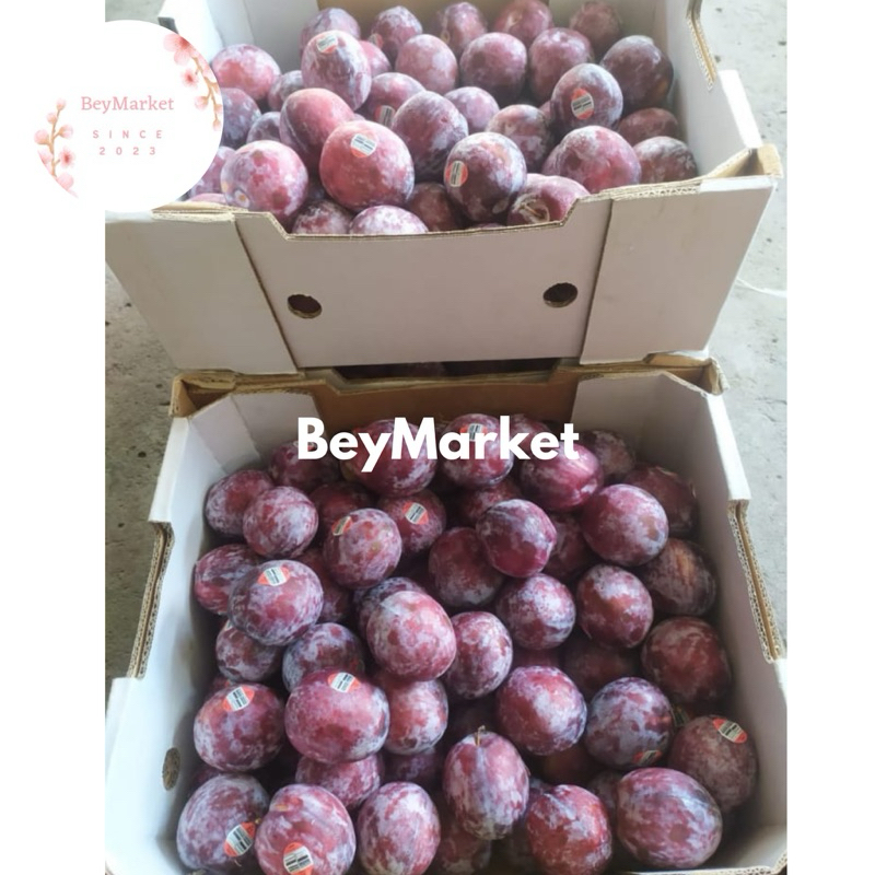 

Buah Plum Black Angelino | Plum Hitam Manis Juicy 1kg