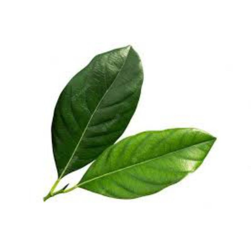 

daun salam pengharum masakan 100 g