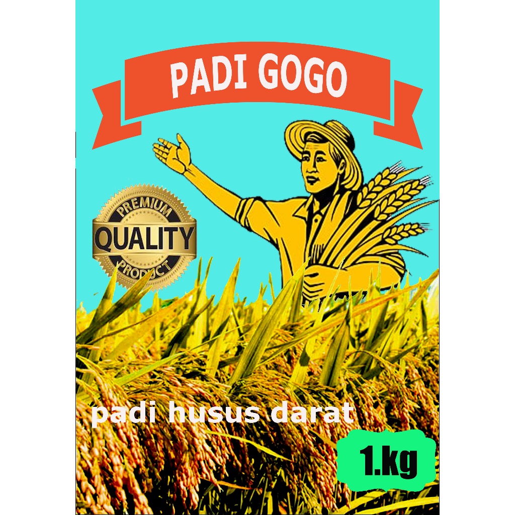 

bibt padi gogo beras merag 1kg