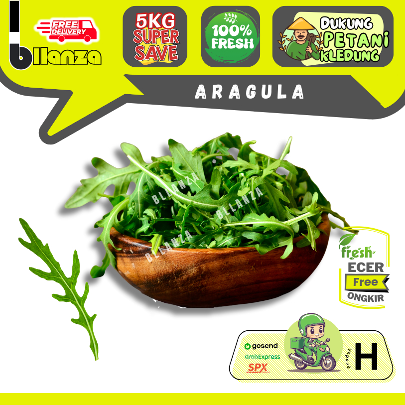 

Bllanza | Arugula Wild Rocket Rucola Fresh — Sayur Gunung ECER (H)