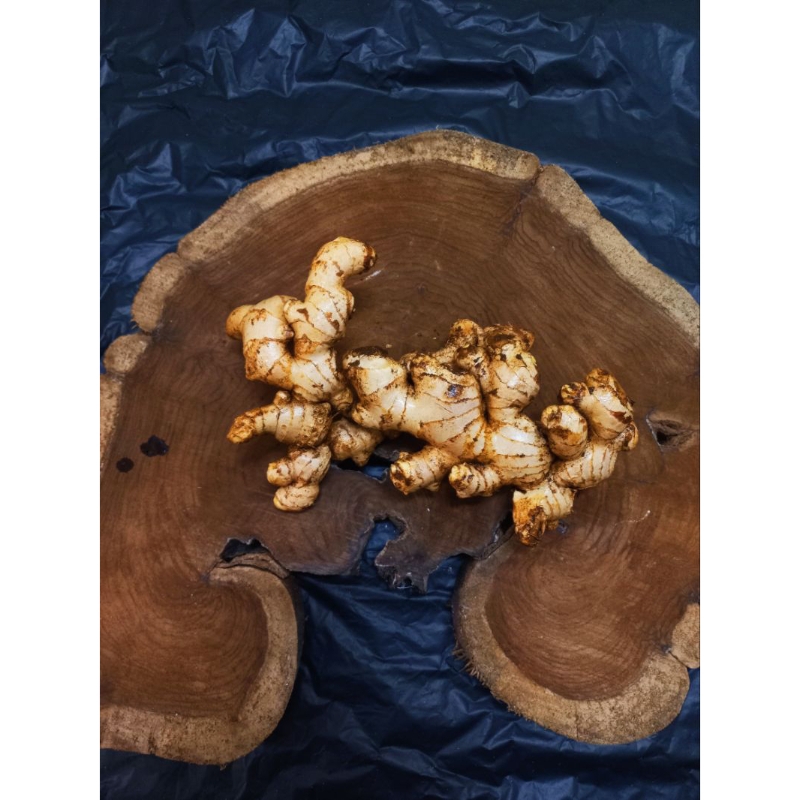 

jahe gajah segar 1kg