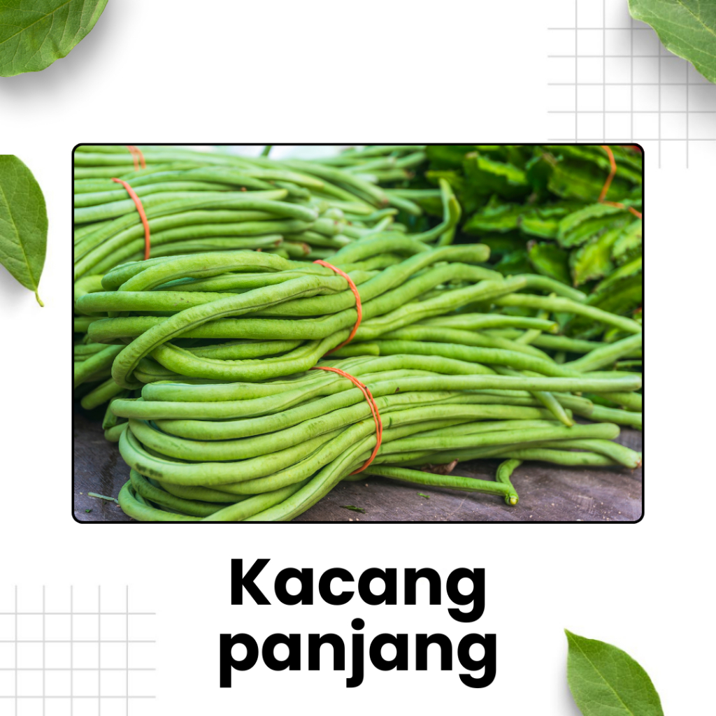 

Kacang Panjang Segar / kacang kacangan / sayur hijau / sayur segar / Sidoarjo Surabaya