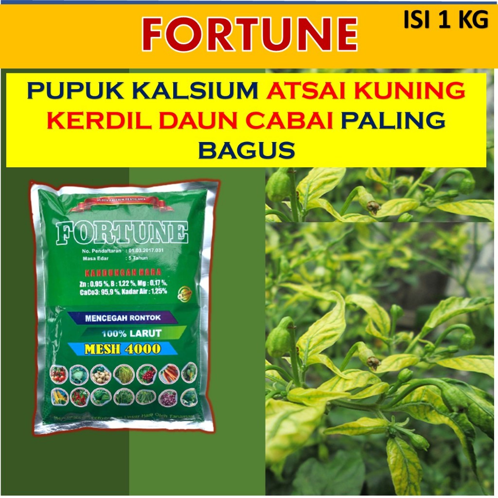 terlaris1 kg FORTUNE PUPUK KALSIUM UNTUK TANAMAN CABE TERBAIK - PUPUK PELEBAT BUAH CABE TERLARIS / O