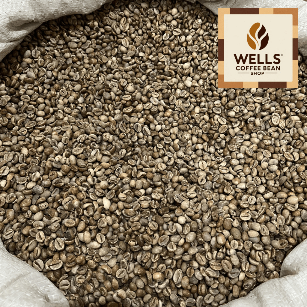 

Well's Toko Biji Kopi - GREEN BEAN / KOPI MENTAH ROBUSTA TEMANGGUNG GRADE 2 - 1 KG