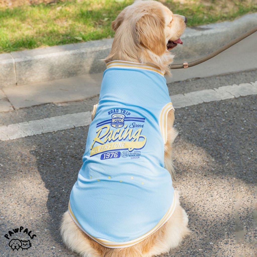 Racing - Baju Kaos Anjing Besar Jumbo Golden Husky Lucu Biru Adem Comfy