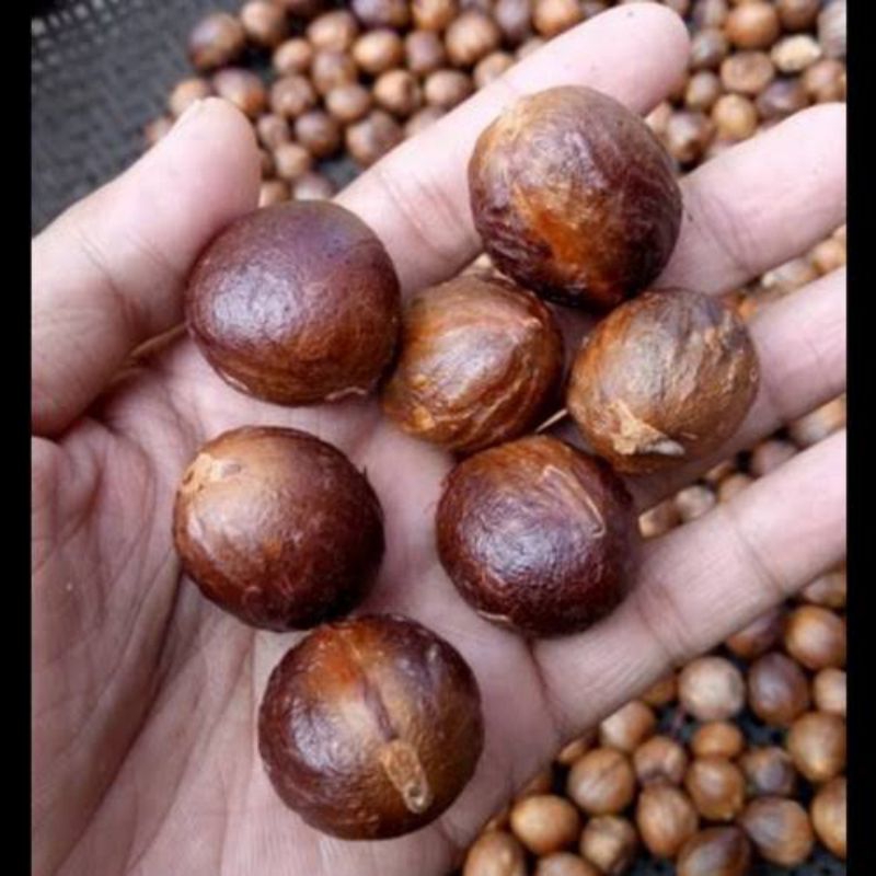 

Biji Pala kupas dan non kupas 100gr