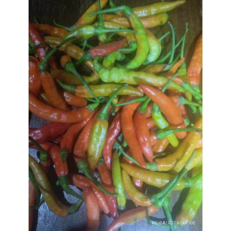 TERMURAH!!CABE RAWIT SETAN 1 KG