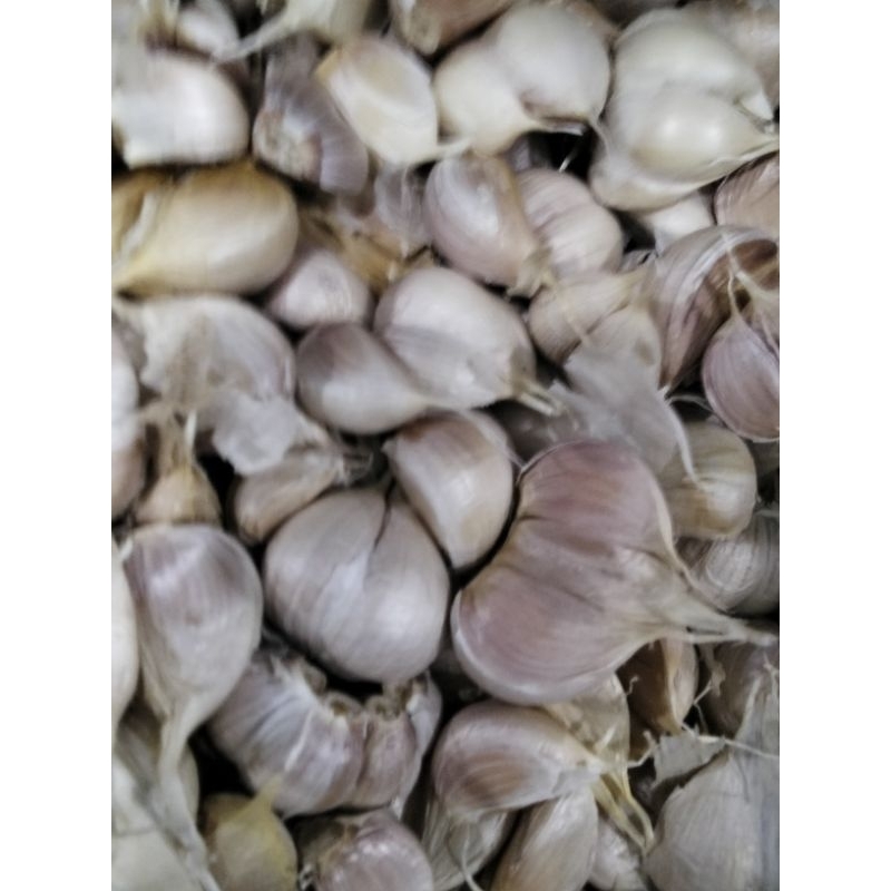 

Bawang Putih Kating 500 Gram