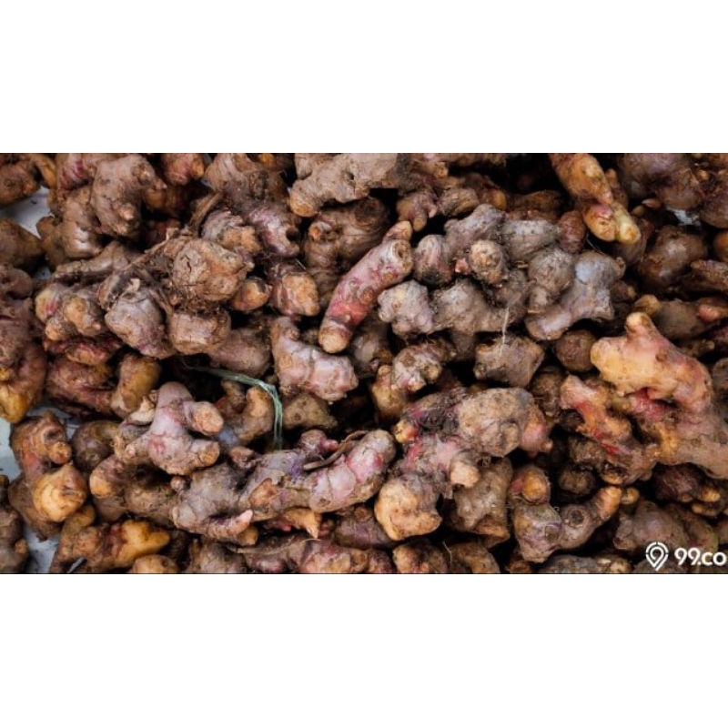 

Fresh Rempah Jahe Merah Ginger red 250gr