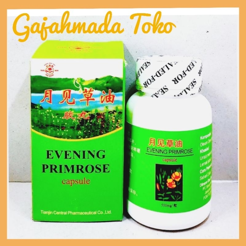 EVENING PRIMROSE ( bpom ) Obat Kolesterol dan Mengurangi Lemak Darah - Obat Cina Herbal