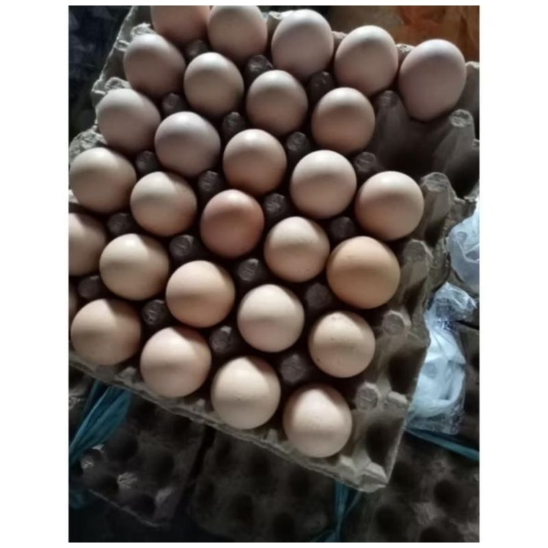 

Telur ayam omega 1kg