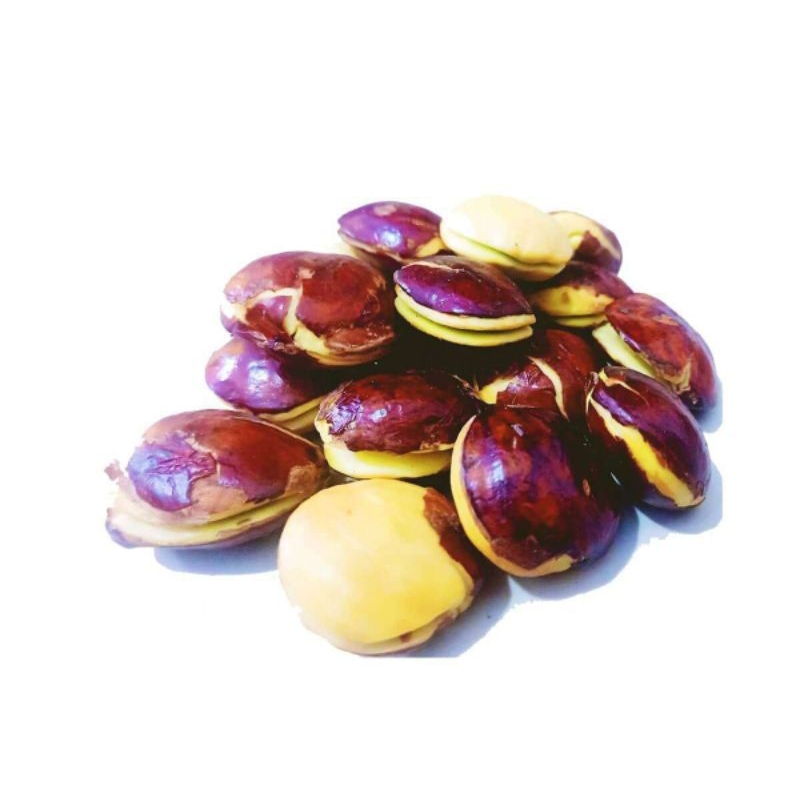 

Jengkol mentah kualitas super 250 gram