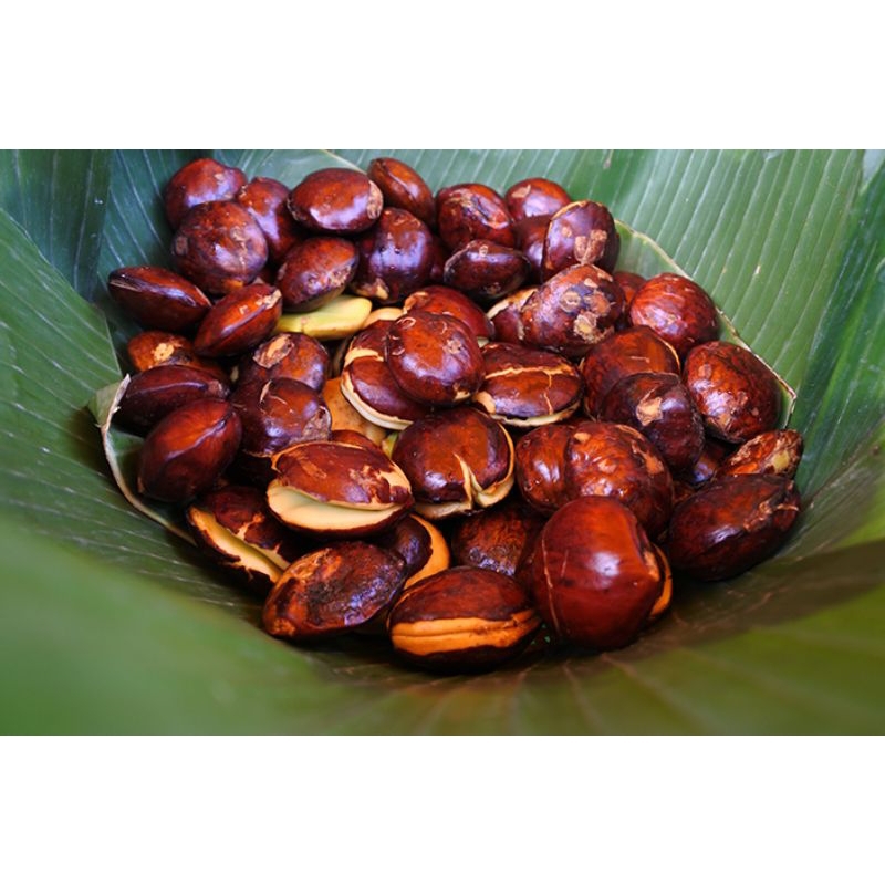 

Jengkol mentah segar kualitas super 500 gram
