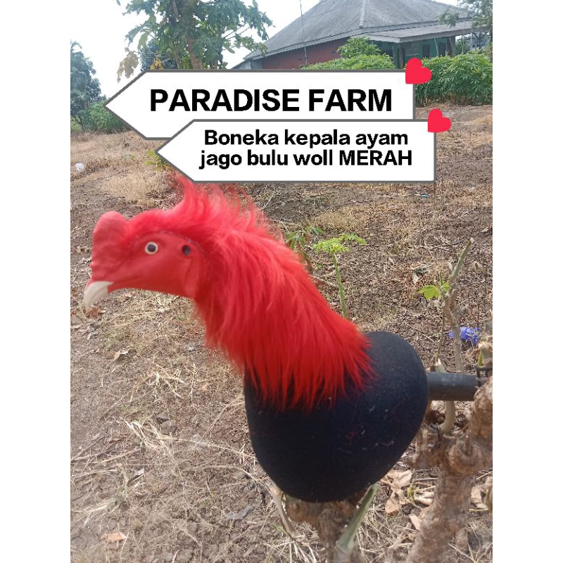 BONEKA AYAM JAGO SETENGAH BADAN DENGAN BULU SINTETIS