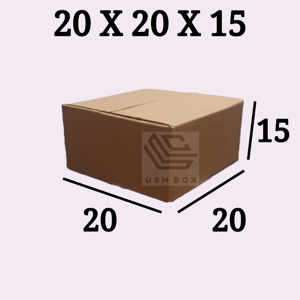 Karton Box 20 x 20 x 15