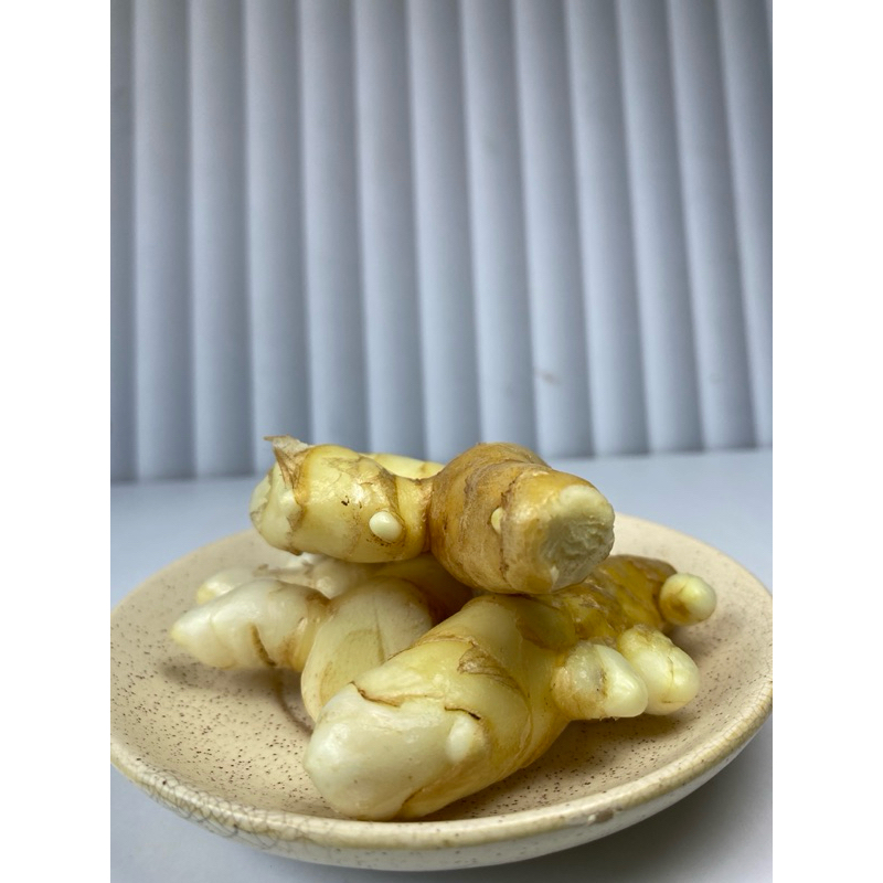 

Kunyit Putih / Temu asli dari kebun 1 Kg - Bersih