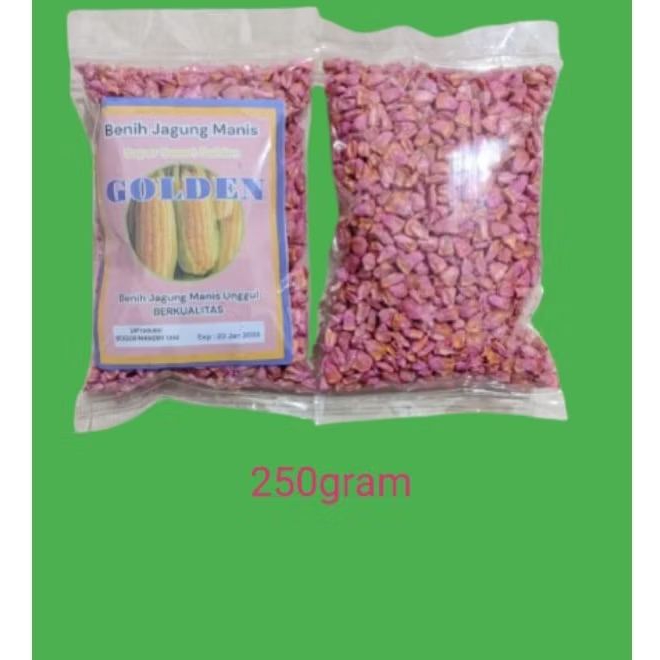 

Bibit jagung manis GOLDEN 250GRAM