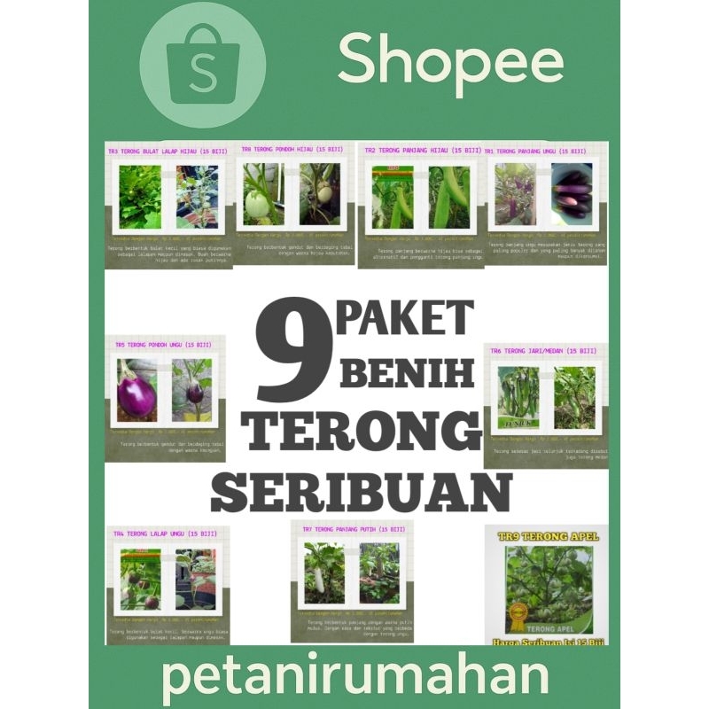 9 PAKET BENIH BIBIT BIJI TERONG MURAH SERIBUAN TERUNG UNGU HIJAU PONDOH JARI LALAP APEL BULAT PUTIH 
