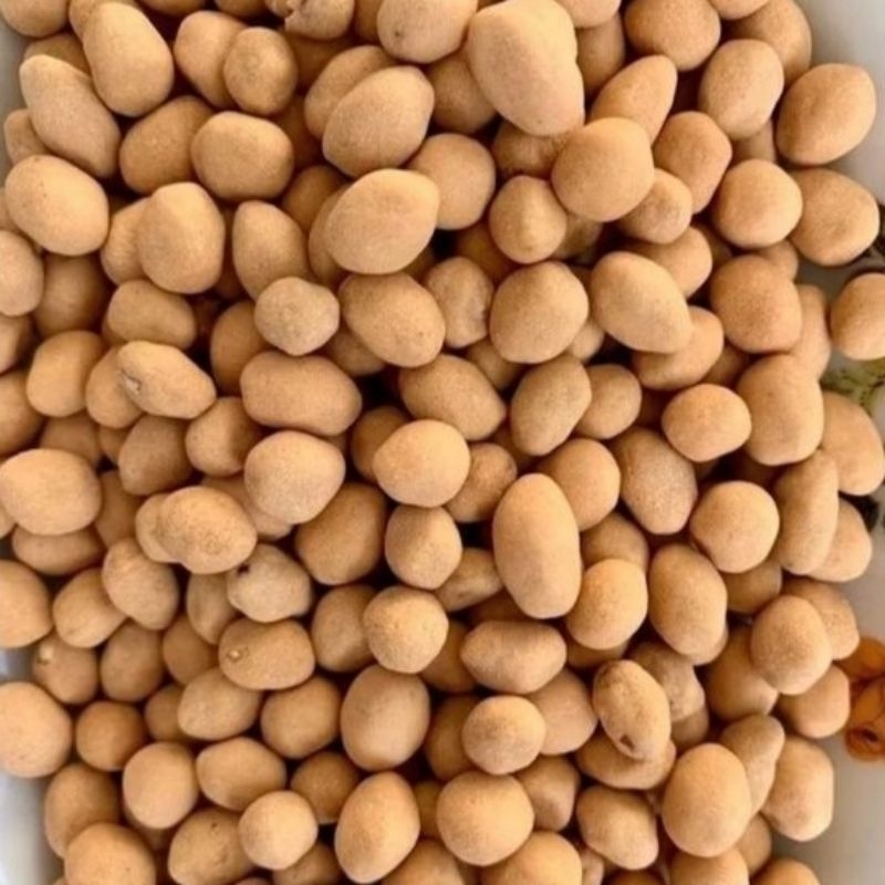 

KACANG ATOM OVEN 1KG/Kacang Telur
