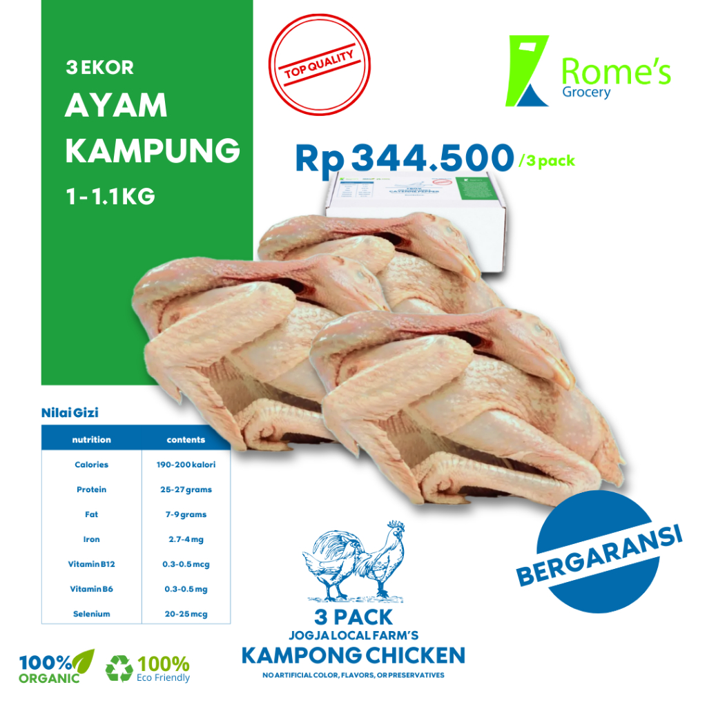 

Ayam Kampung Utuh | 1 - 1.1 kg | 3 Pack/3Ekor | Fresh&Organik | Bergaransi | Rome's Grocery
