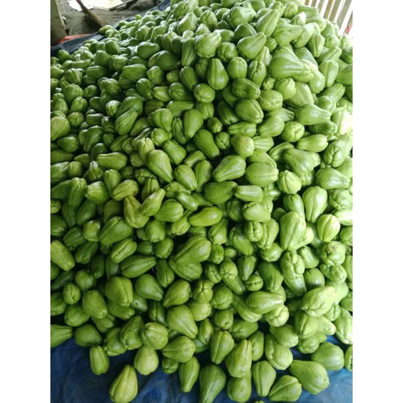 

LABU SIAM SEGAR MURAH 500gr, 1Kg | LABU MANISAN | LABU LALAPAN