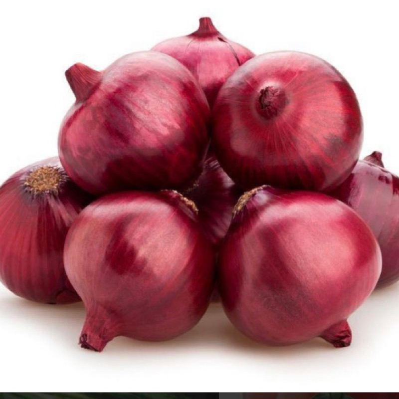 

Bawang Bombai Premium Super Market Segar