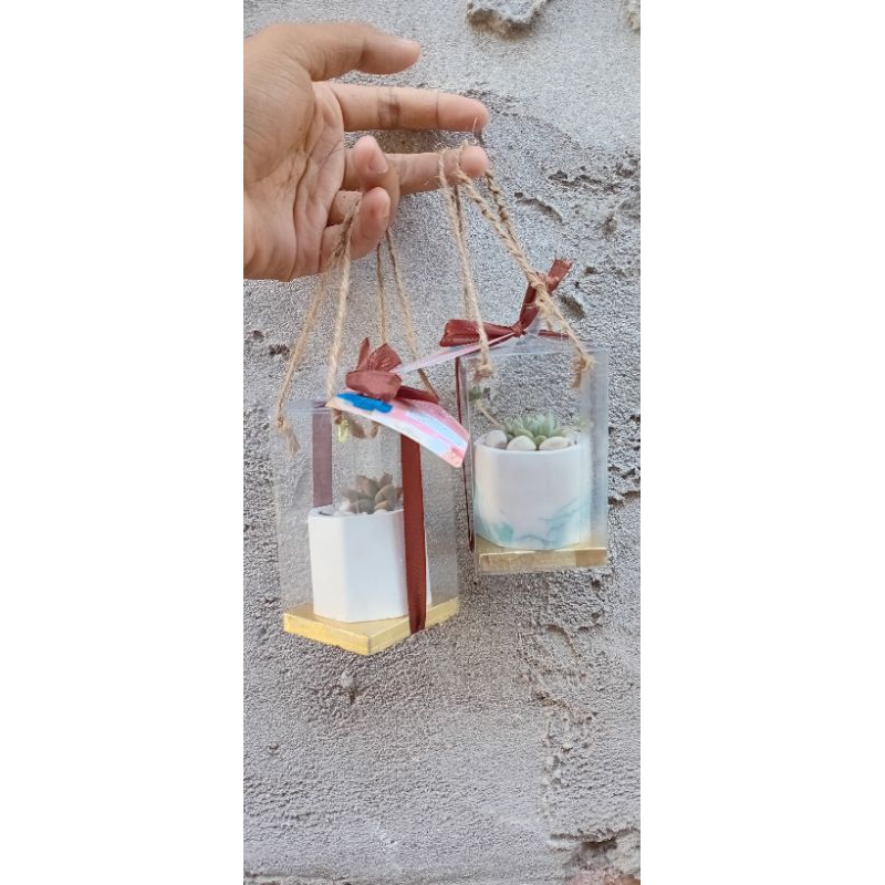 

[HANYA PACAGINGNYA]MIKA SOVENIR 6X6X12CM UNTUK SOVENIR KAKTUS &SUKULEN HIAS