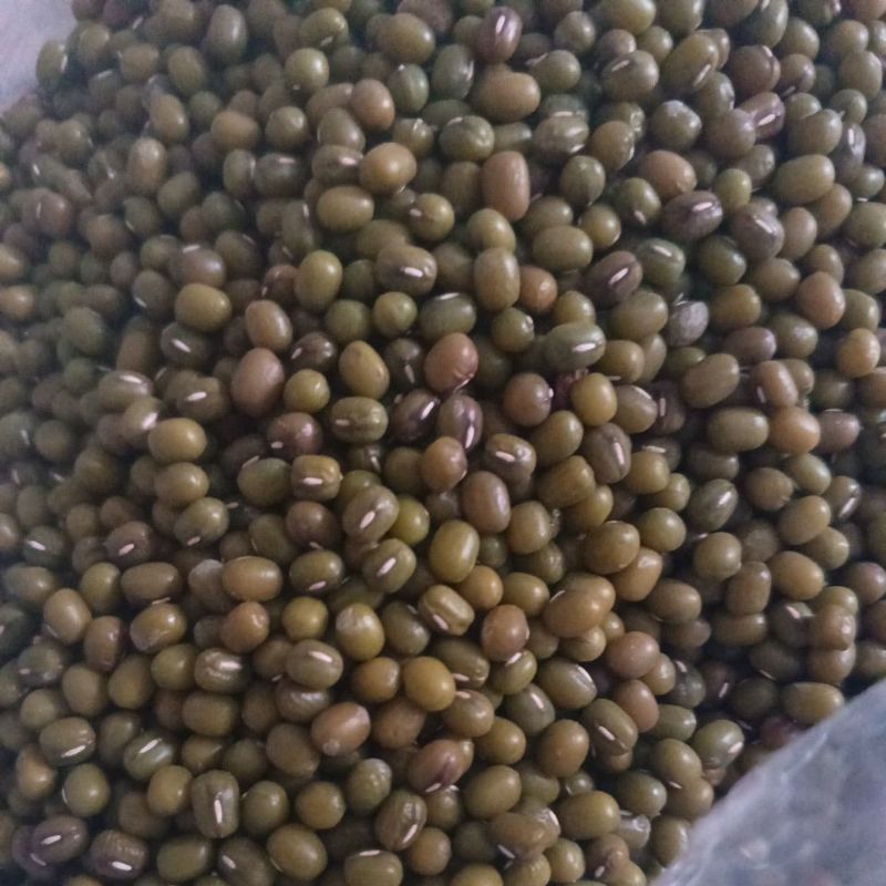 

kacang hijau impor 250 gram