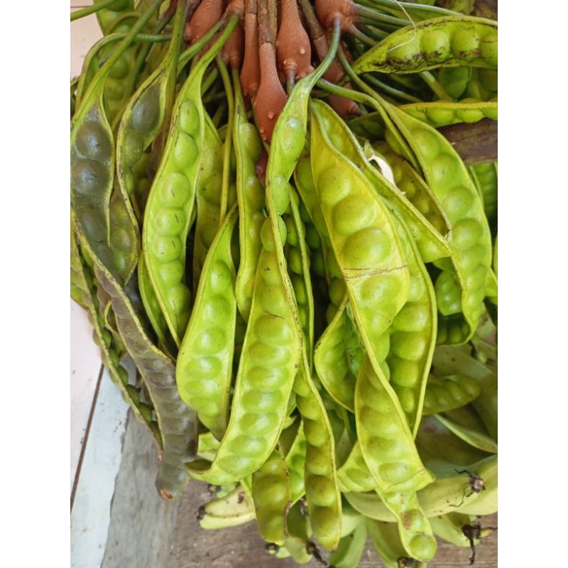 

Pete harga 1 papan