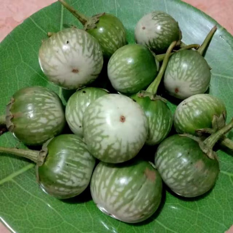 

terong hijau 250gr