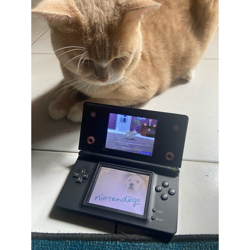 NINTENDO DS LITE