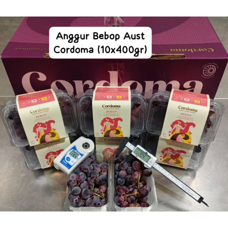 

Anggur Bebop Aust Cordoma Berat 400gram /pack