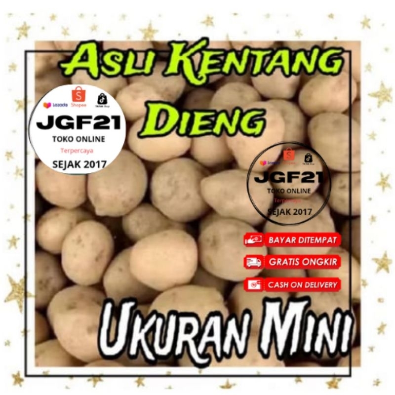 Bisa COD Termurah No.1- 500Gr kentang dieng Kecil Baby Potato